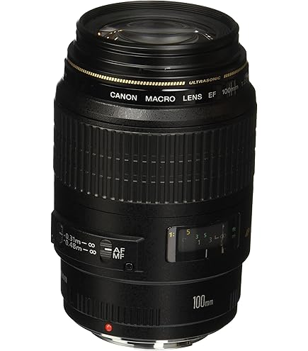 Amazon.com : Canon EF-S 60mm f/2.8 Macro USM Fixed Lens for Canon