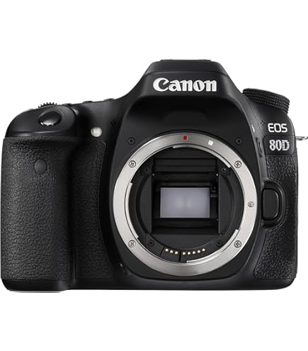 Amazon.com : Canon EOS 800D Digital SLR with 18-55 is STM Lens