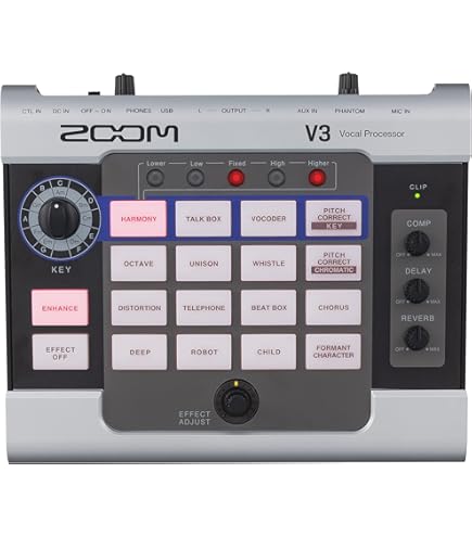 Amazon.com: TC Helicon VoiceTone D1 Doubling Detune Pedal