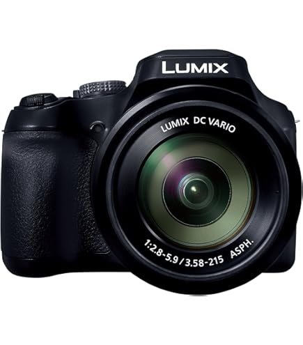 Amazon.com : Panasonic Lumix DMC-GF1 12.1MP Micro Four-Thirds