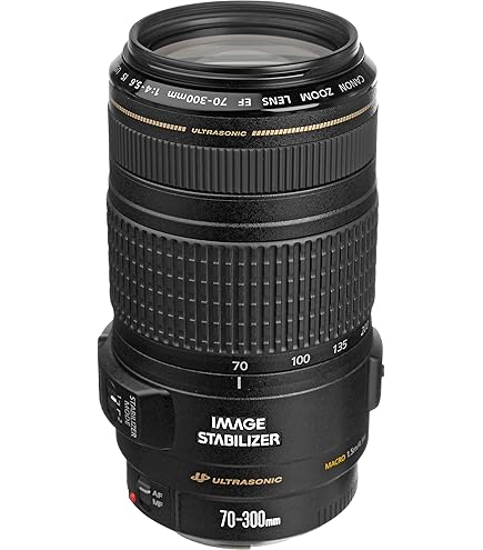 Amazon.com : Tamron AF 70-300mm f/4.0-5.6 SP Di VC USD XLD for