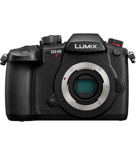 Amazon.com : Panasonic LUMIX GH4 Body 4K Mirrorless Camera, 16