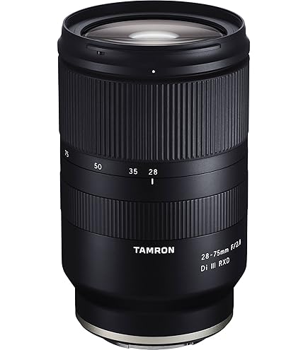Amazon.com : TAMRON 28-75mm F2.8 RXD A036SF Lens for Sony-FE