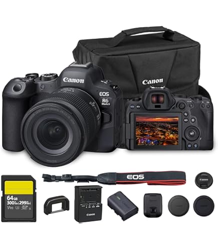 Amazon.com : Canon EOS 6D Mark II DSLR Camera with 24-105mm f/4L