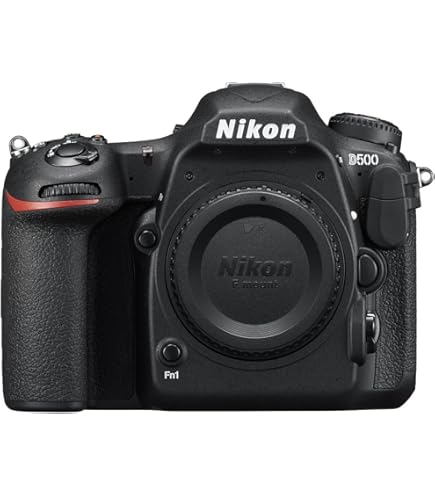Amazon.com : Nikon D500 20.9 MP CMOS DX Format Digital SLR Camera