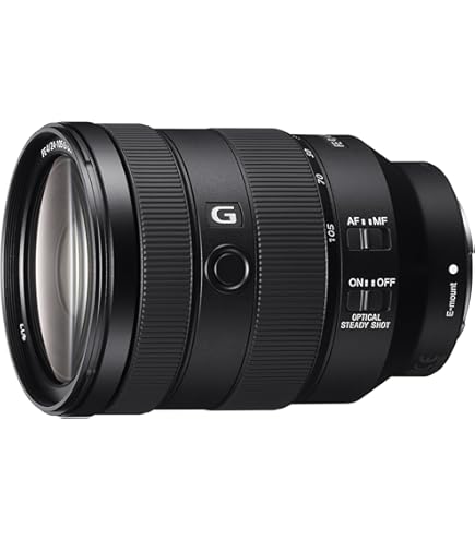 Amazon.com : Sony - G 24-105mm f/4 G OSS Standard Zoom Lens for E