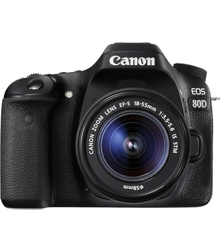 Amazon.com : Canon EOS 80D Digital SLR Kit with EF-S 18-55mm f/3.5