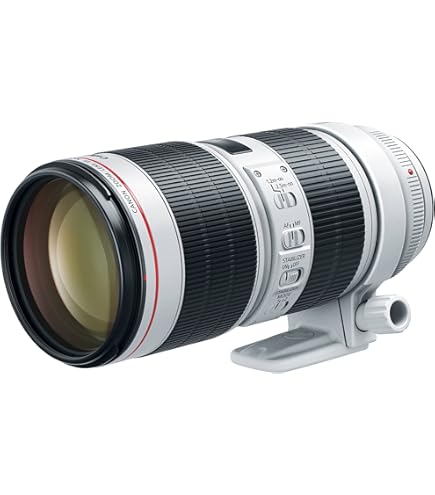 Amazon.com : Canon EF 70-200mm f2.8 L is III USM Telephoto Lens
