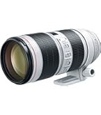 Amazon.com : Canon EF 70-200mm f/2.8L Is III USM Lens for Canon