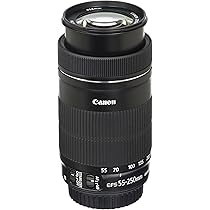Canon EF-S 55-250mm F4-5.6 is STM : Amazon.ca: Electronics