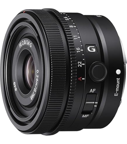 Amazon.com : Sony SEL28F20 FE 28mm f/2-22 Standard-Prime Lens for
