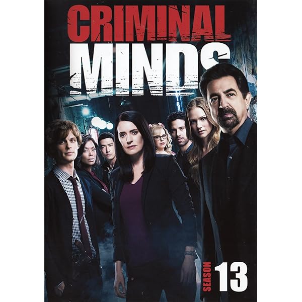 Amazon.com: Criminal Minds: Season 10 : Gary Sinise, Joe Mantegna