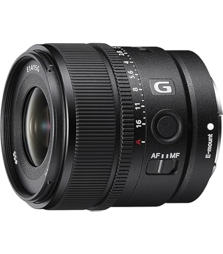 Amazon.com : Sony SEL30M35 30mm f/3.5 e-mount Macro Fixed Lens