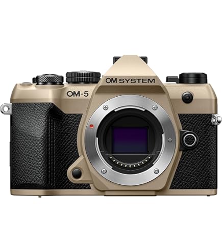 Amazon.com : Olympus' OM-D E-M10 MarkIII Double Zoom kit (Silver