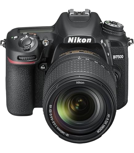 Nikon 40mm f/2.8G AF-S DX Micro NIKKOR Lens - Black : Amazon.ca
