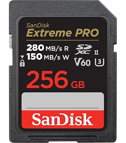 Amazon.com: SanDisk 256GB Extreme Pro UHS-II SDXC Memory Card