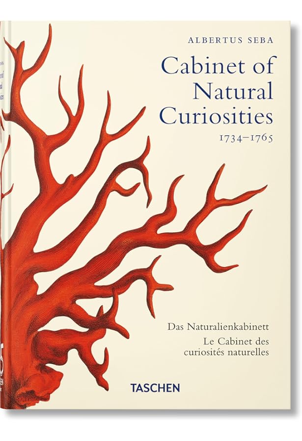Cabinets of Curiosities: Mauriès, Patrick: 9780500022887: Amazon