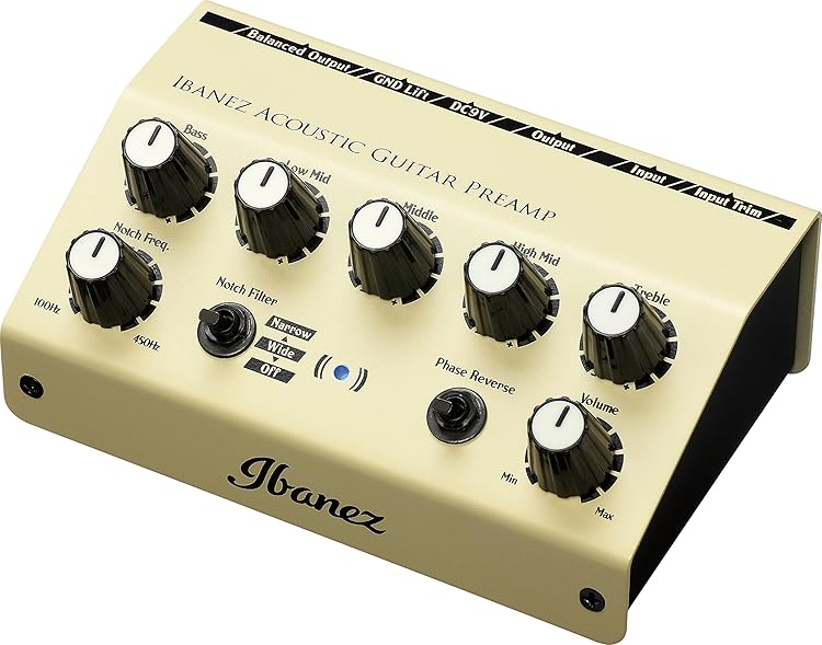 Ibanez AGP10 - アコースティックギター専用に開発されたフル