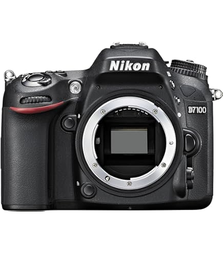 Amazon.com : Nikon D7000 DSLR (Body Only) (OLD MODEL) : Slr