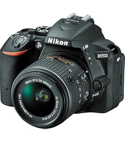 Amazon.com : Nikon D5300 24.2 MP CMOS Digital SLR Camera with 18