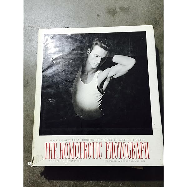 Male Desire: The Homoerotic in American Art: Weinberg, Jonathan