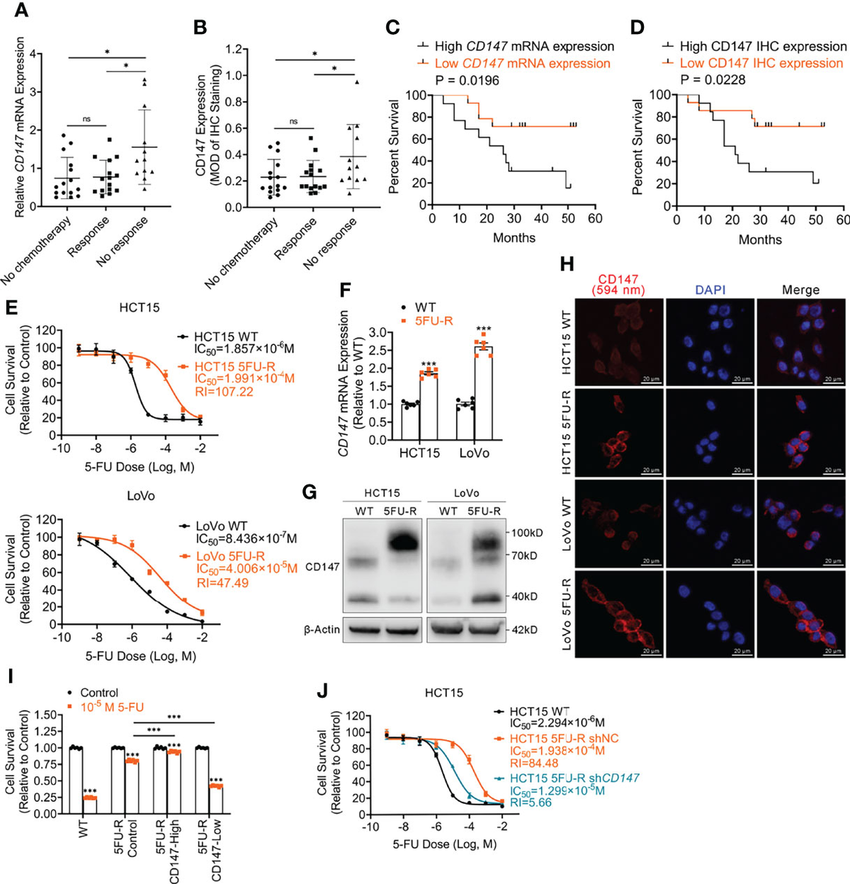 Frontiers | CD147 Mediates 5-Fluorouracil Resistance in Colorectal