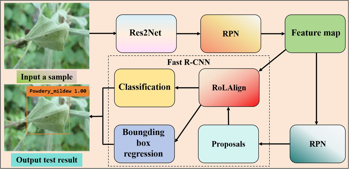 Frontiers | A review of plant leaf disease identification by deep