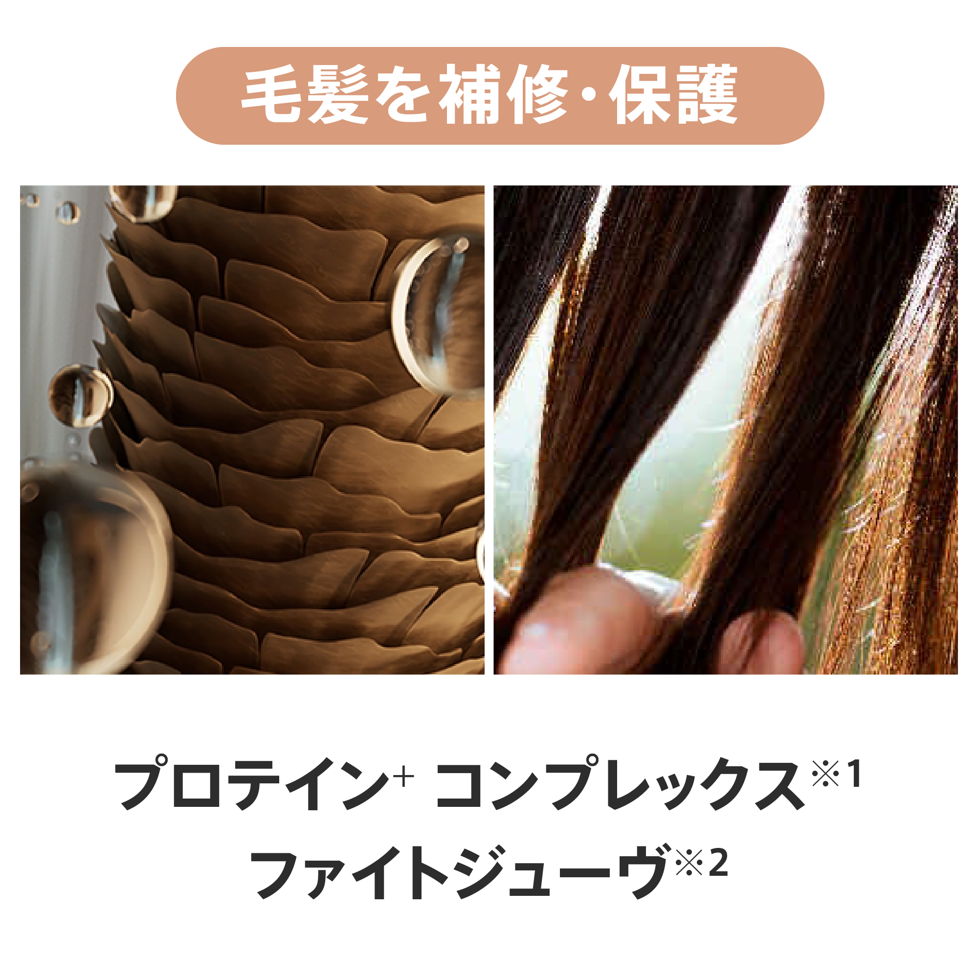 フィールクリーン シャンプー （地肌ケア） 750mL) ：Amway(日本