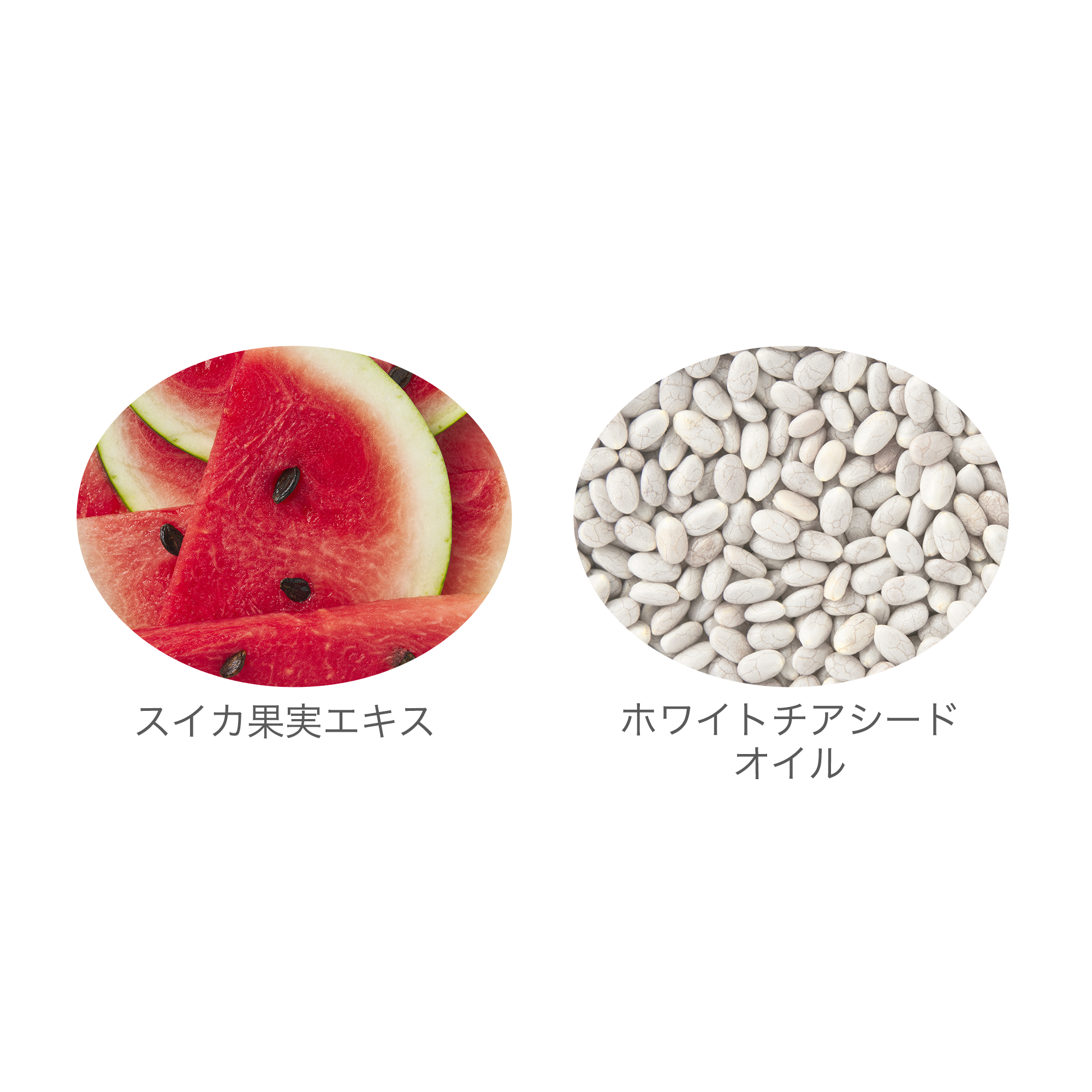 クレンジングウォーター) ：Amway(日本アムウェイ) | amwaylive