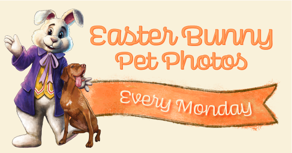 Pet Photos with Easter Bunny from Easter Bunny's Garden at Cross