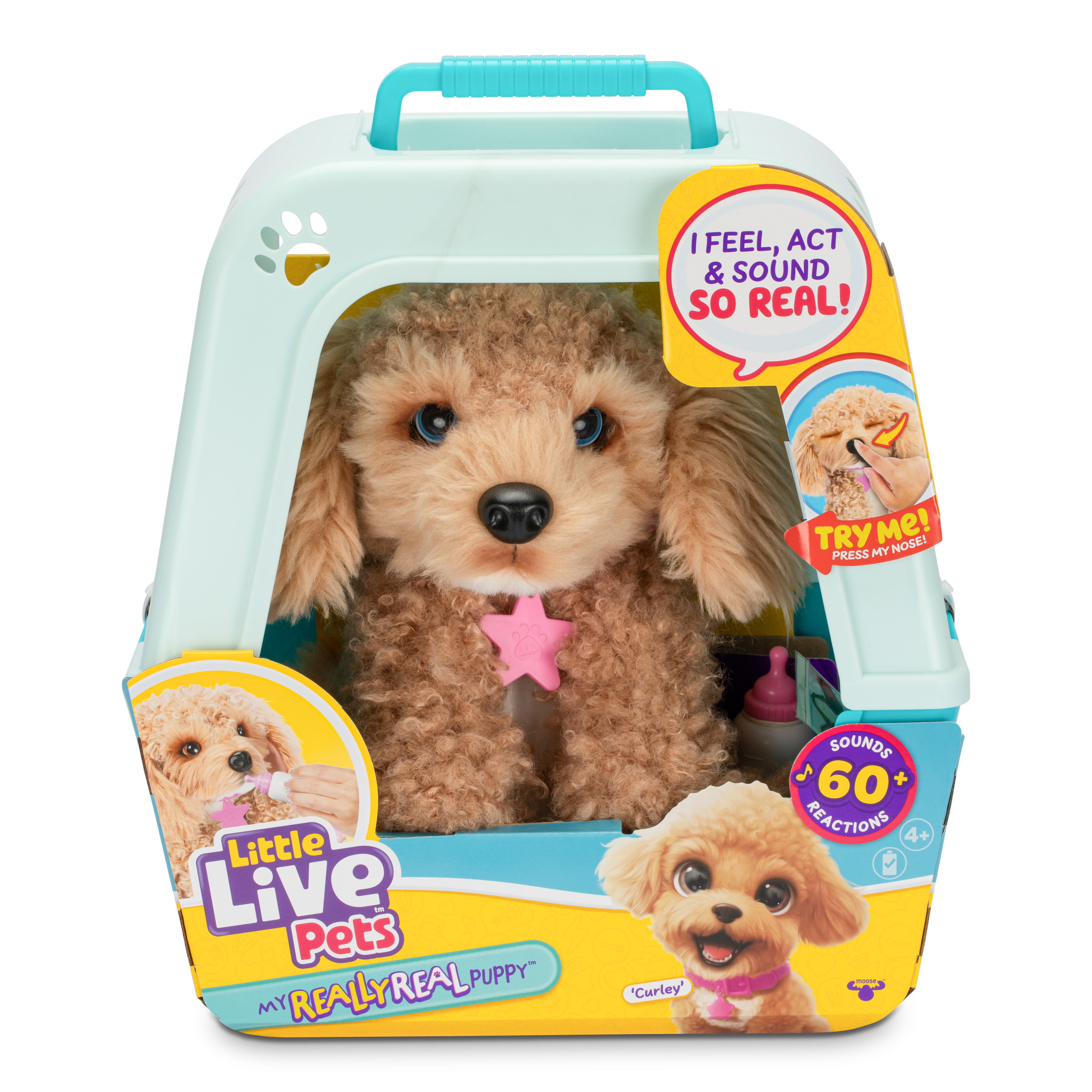 26612_LLP_MRR_PUPPY_CURLY_EXCL