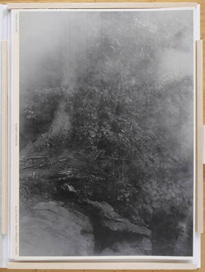 Sound of Summer Running. Photographs by Raymond Meeks. Poetry by