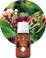 ヤングパナウェイ 5ml | ヤングリビング精油 | Young Living Essential