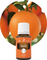 ワイエルハーモニー 15ml | ヤング・リビング精油 | Young Living