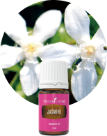 YLドリームキャッチャー 15ml | ヤング・リビング精油 | Young Living