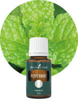 ヤング・リヴィング-ヤングトランスフォーメーション | Young Living