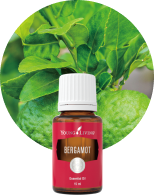 ワイエルハーモニー 15ml | ヤング・リビング精油 | Young Living