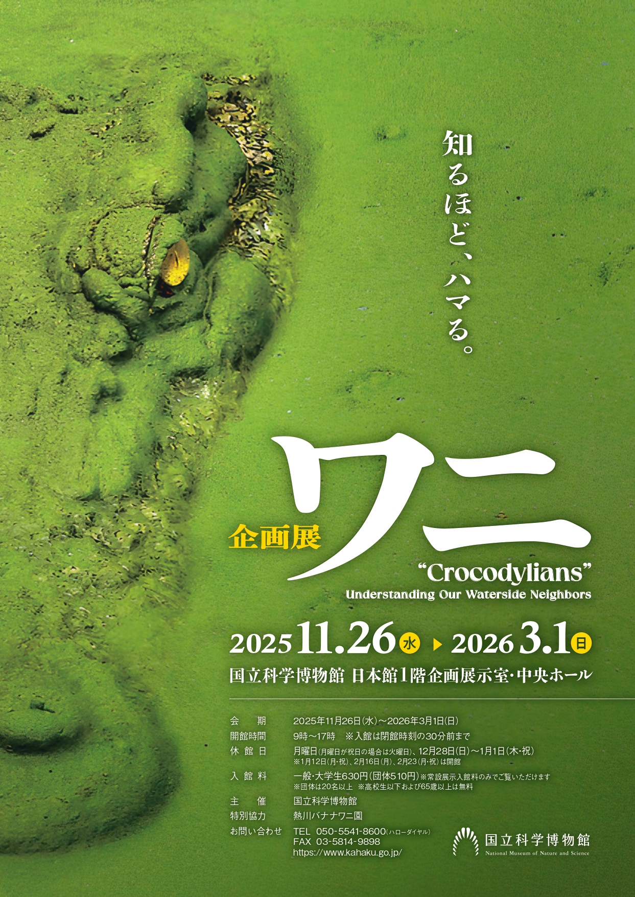 2025-10-wani-flyer_page-0001.