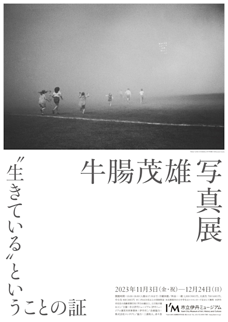 IM_gocho_B2_web.jpeg?w=784&h=