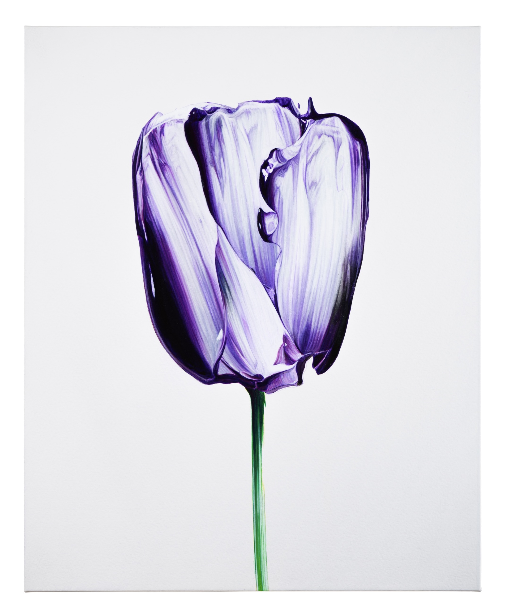 描くことを描く」武田鉄平インタビュー。個展「まるで、花のような」で