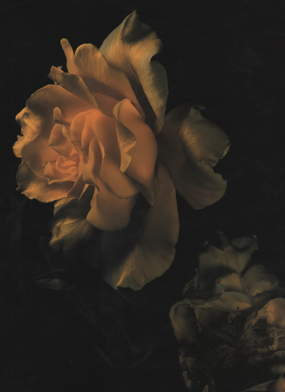 Richardson magazine A1-A10 Exhibition Spring/Summer 2023 Pop-up