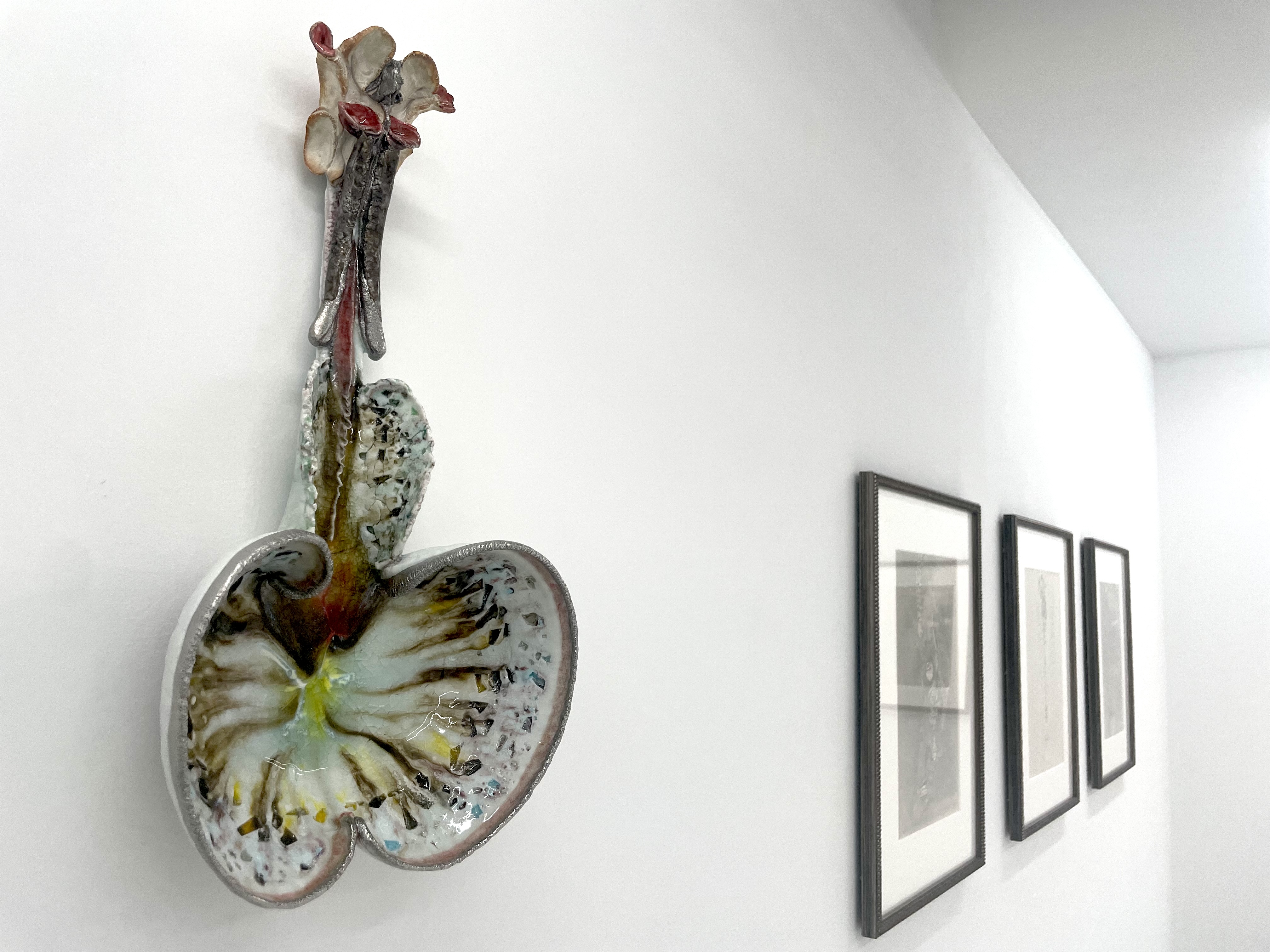 合田佐和子と川端健太郎二人展「Chimeras」（Nonaka-Hill Kyoto