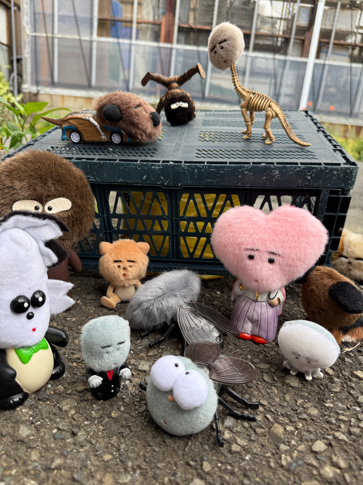 片岡メリヤス 「ハエごめんなさい」 （VOILLD（ボイルド）） ｜Tokyo