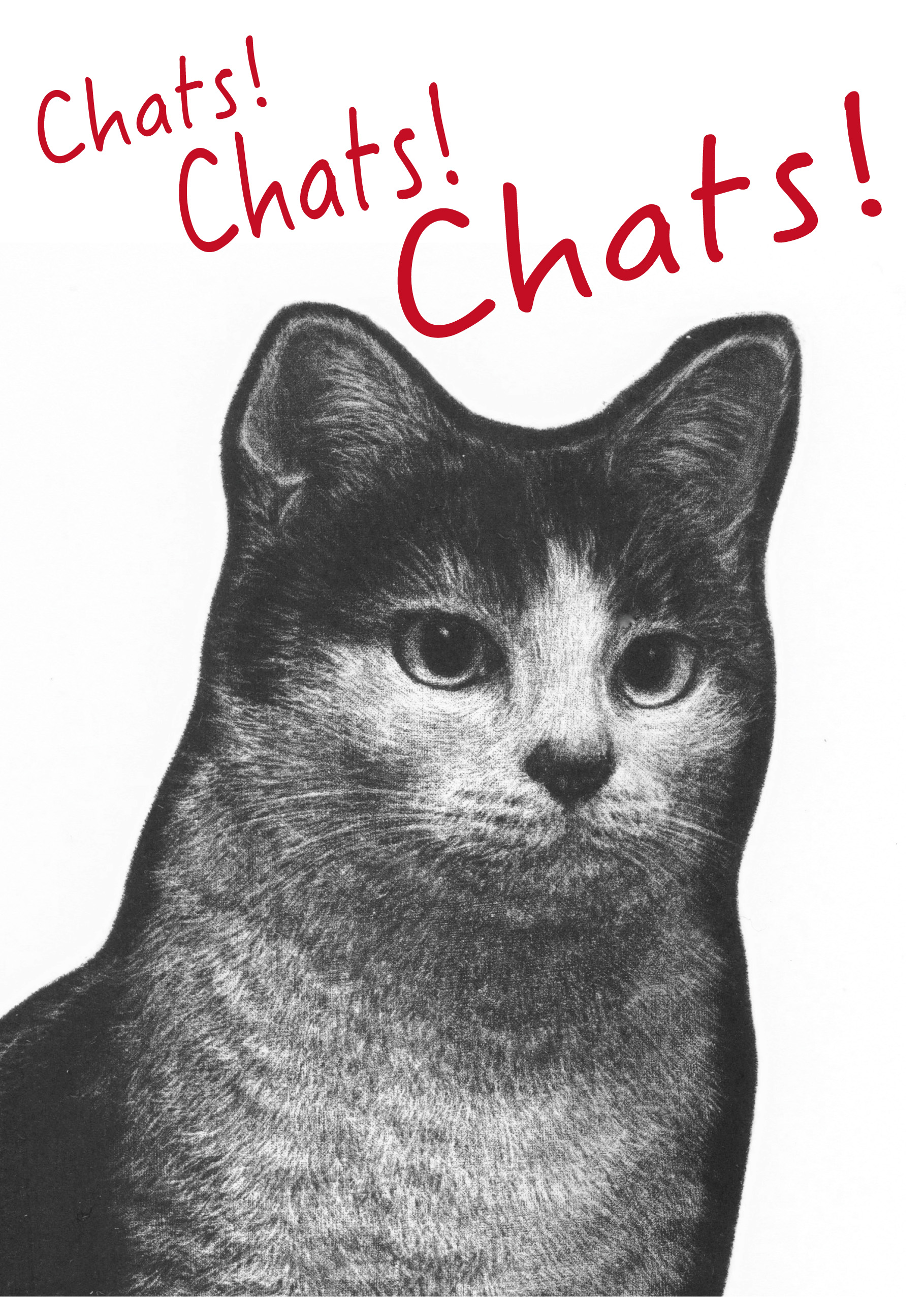 ナガミネミチヨ 「ねこ！ネコ！猫！」 （弘重ギャラリー） ｜Tokyo Art