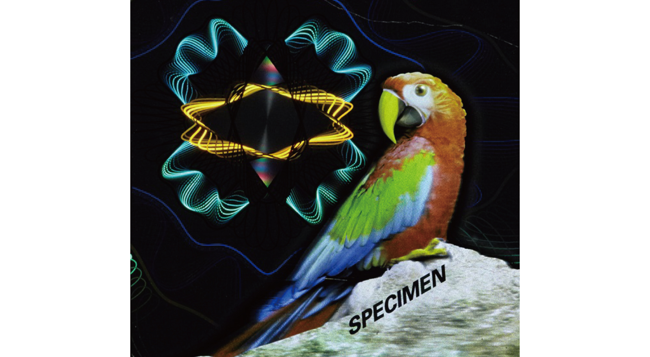 良品 入手困難 絶盤 3Dホログラムシート付属 フェイ・ウォン 王菲 良品