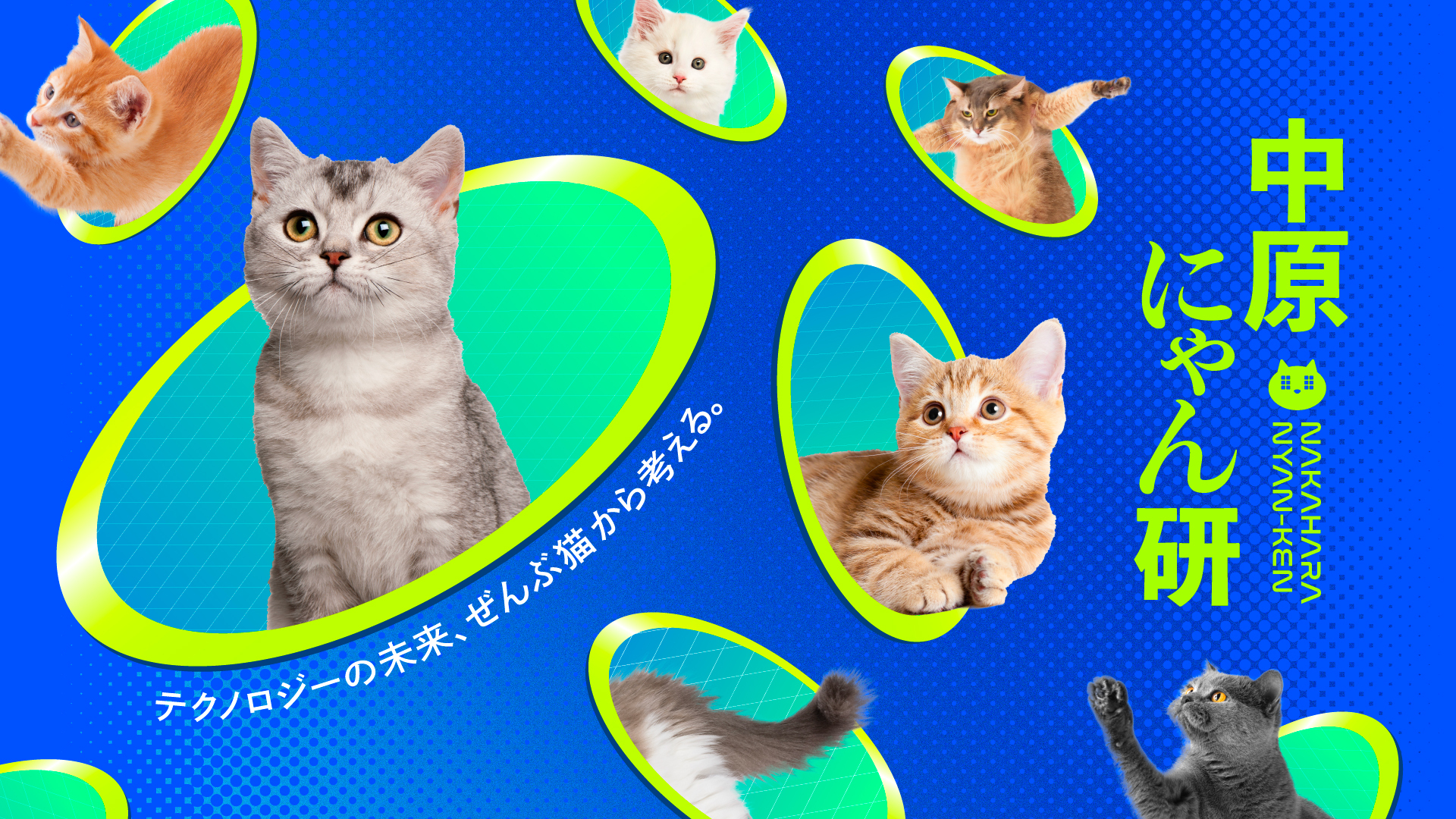 テクノロジーを“猫”で解釈してアイデアを実装するプロジェクト「中原