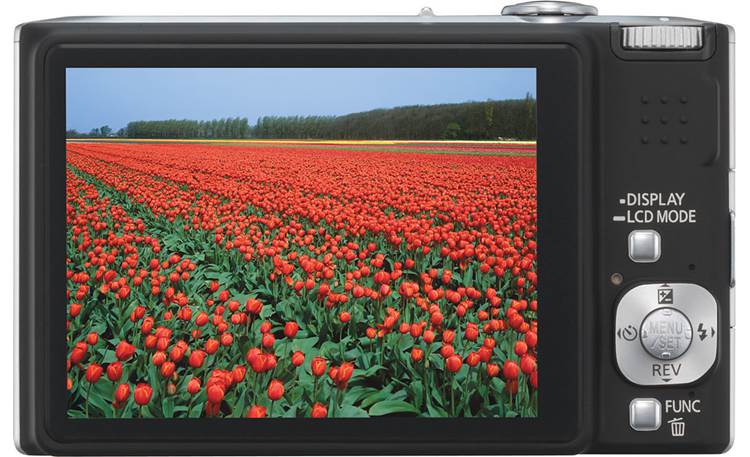 Panasonic Lumix® DMC-FX55 (Black) 8.1-megapixel camera with