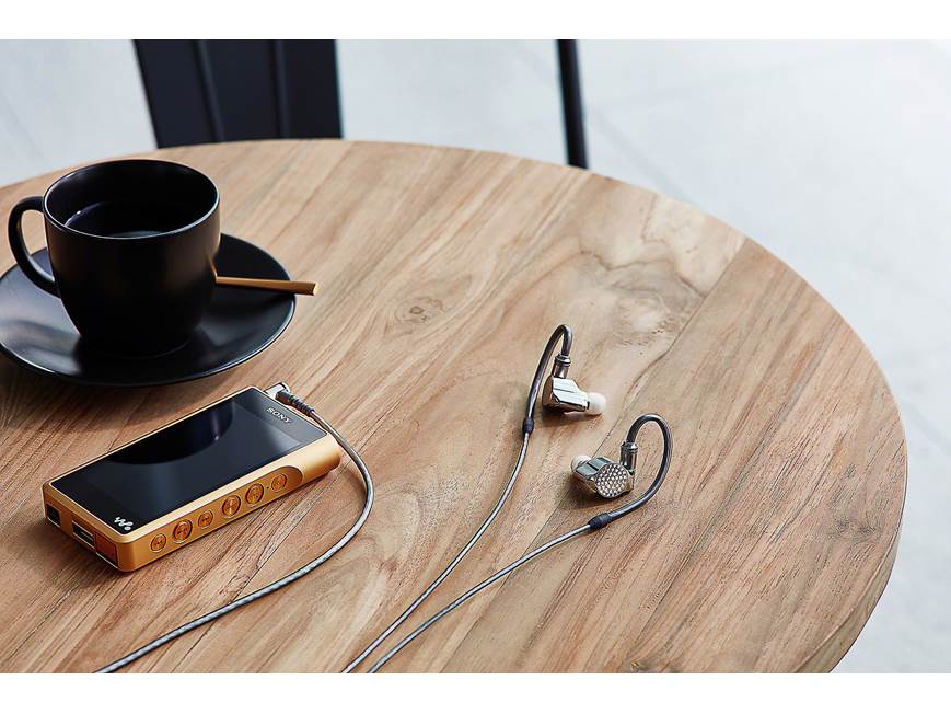 Sony IER-Z1R Signature Series in-ear monitor headphones at Crutchfield