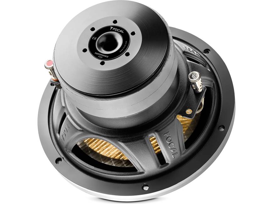 Focal P 20FE Flax Evo Series 8