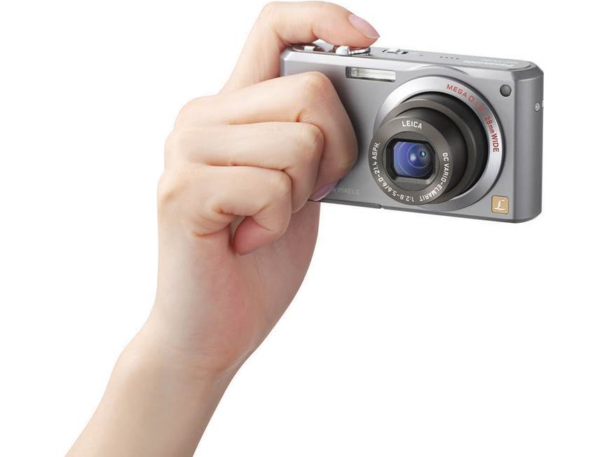 Panasonic Lumix® DMC-FX100 (Silver) 12.2-megapixel camera with